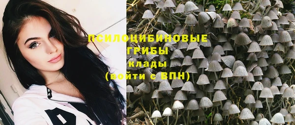 a pvp Армянск